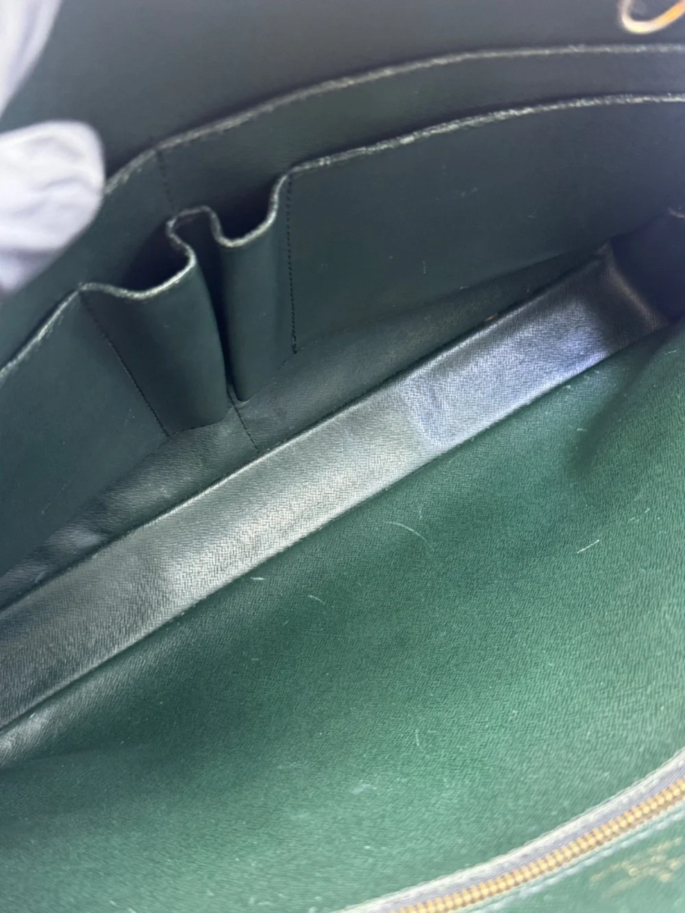 Louis Vuitton brand louis